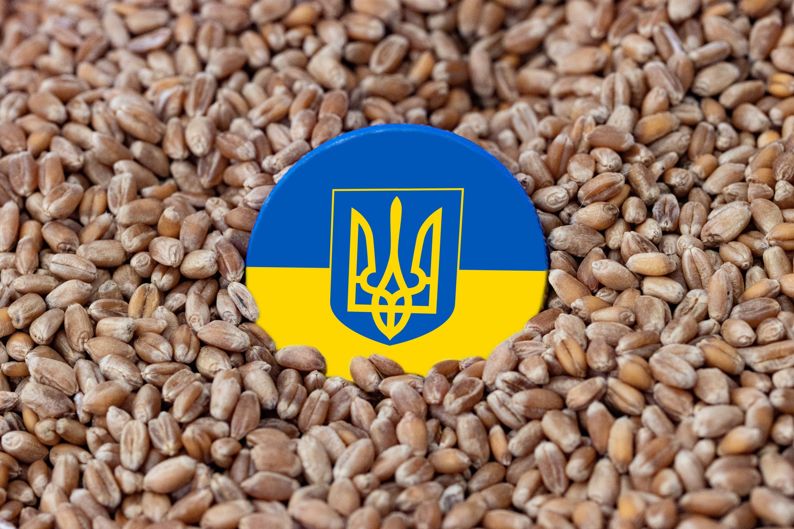U.S. and Ukraine Sign Landmark Critical Minerals Deal Amid Rising Tensions with Russia